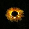 Sunflower Garden Solar Light Decoration for Outdoor Backyard Patio Porch 26 Inches