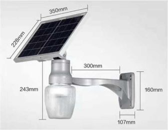 Solarlamp solar peach light LED integrated solar street lamp courtyard lamp new rural reconstruction (style: Apple shape   6W)